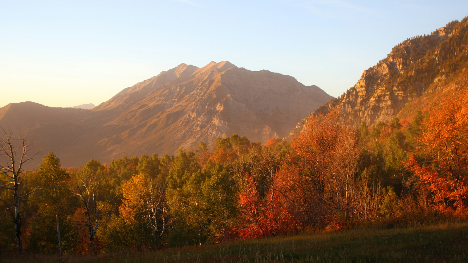 Fall foliage across the Wasatch Mountains near Park City at golden hour